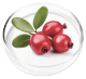 Bearberry leaf extract