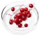 Cranberry extract standardized