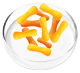 Lactobacillus Casei probiotic